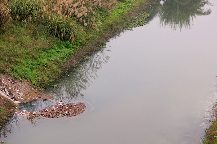 污水被直接排入虎溪河.摄于东大门无名桥2014.1.1.jpg