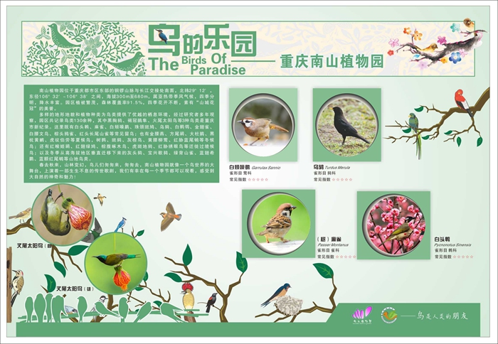 鸟类知识展板3.jpg
