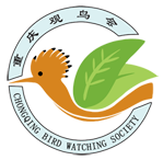 重庆观鸟会 Chongqing Bird Watching Society